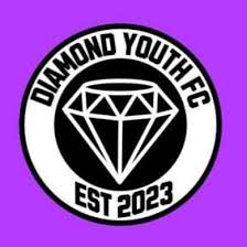 Diamond Youth emblem